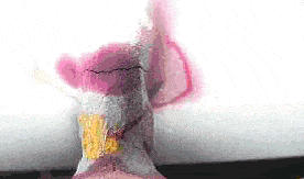 Figure 4 | ENTRUST Solutions Group