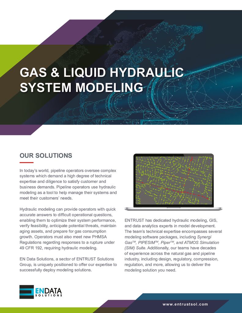 GAS & LIQUID HYDRAULIC SYSTEM MODELING
