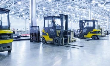 Plant Expansion in Phases