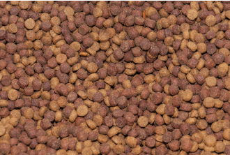 2024-01-30 22_15_39-Window | ENTRUST Solutions Group