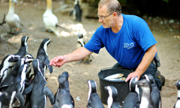 Delivering a Net Zero Microgrid Master Plan