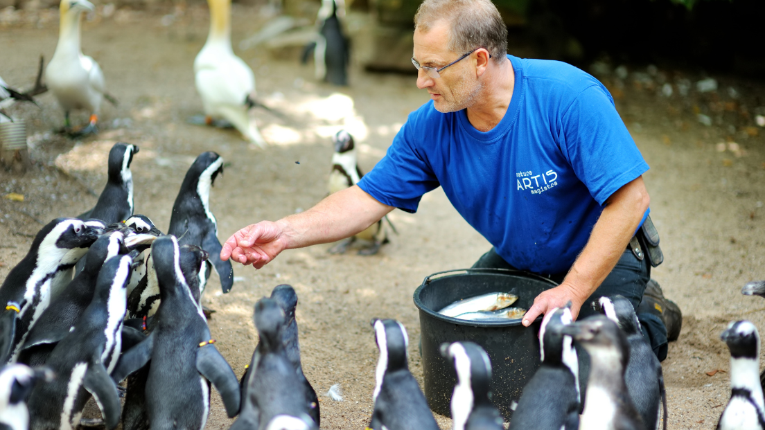 Delivering a Net Zero Microgrid Master Plan | ENTRUST Solutions Group